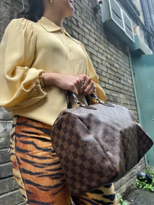 Louis Vuitton Damier Ebene Canvas Speedy 30