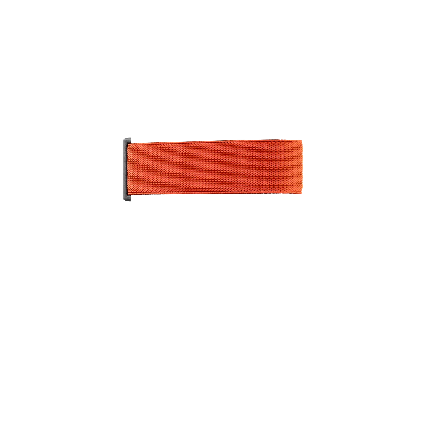 SECRID - Bandwallet Band